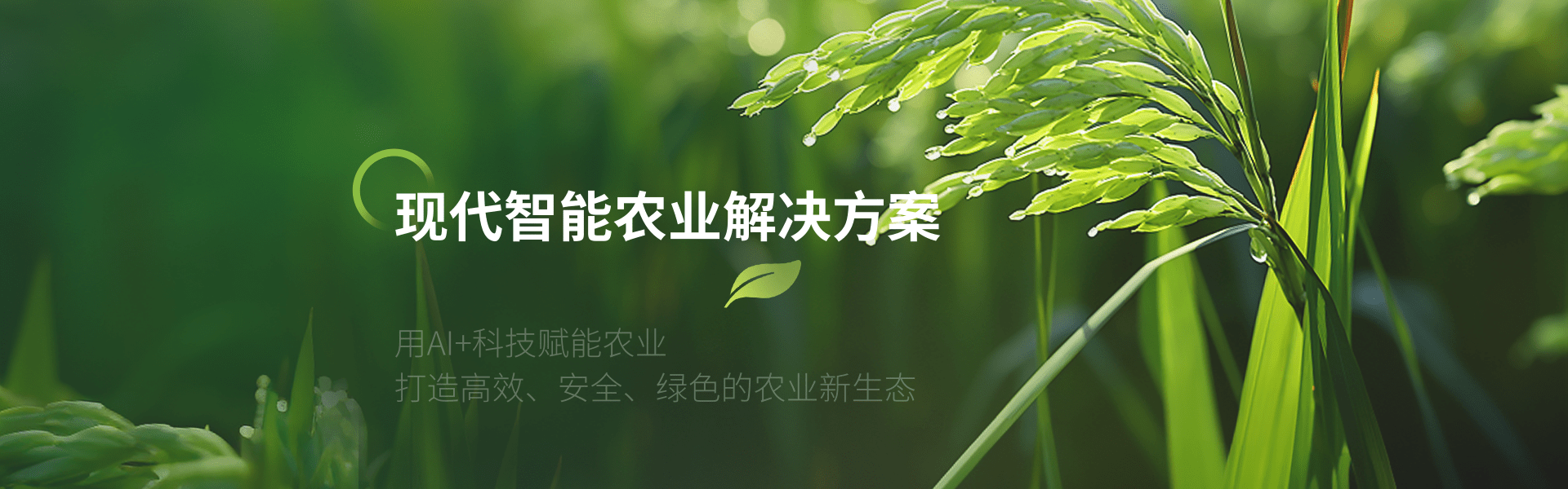 AI智能體